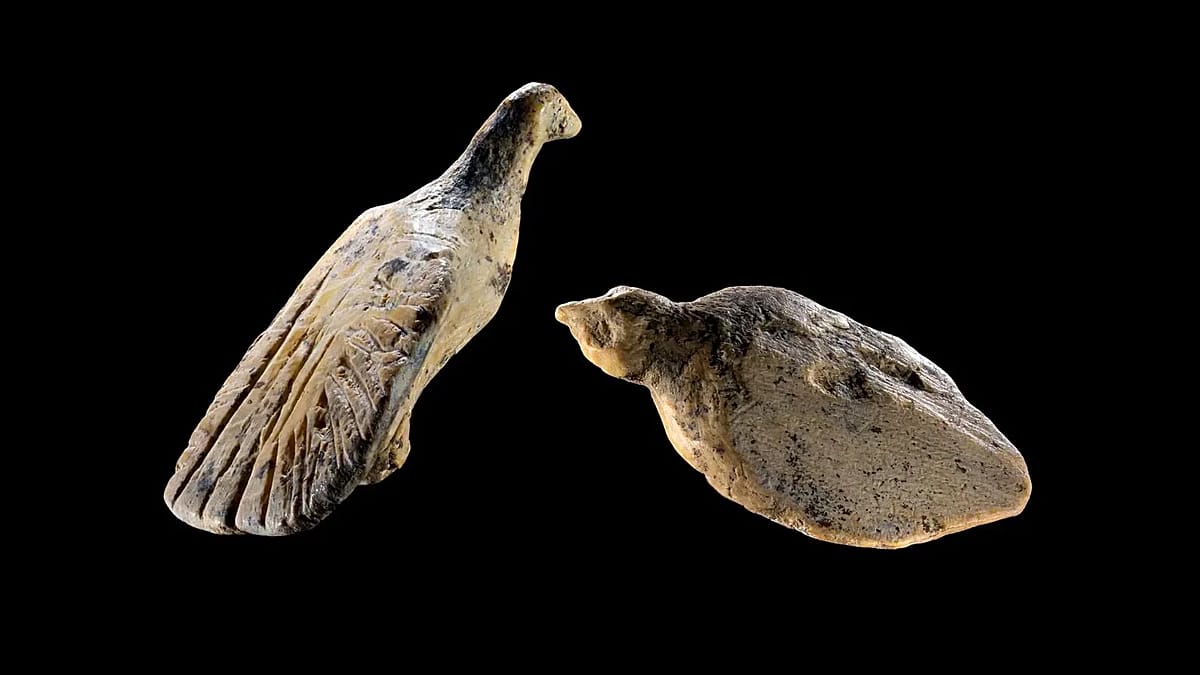 40,000-year-old ivory bird carvings found in German cave