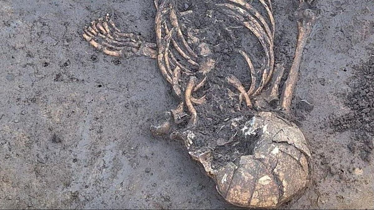 A 7,000-year-old twisted skeleton from Lower Bavaria puzzles archaeologists