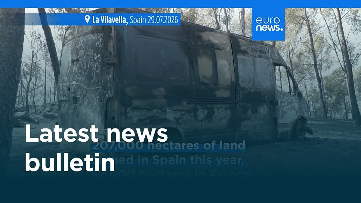 Afghan suspect held in Greece over Briton's suitcase murder