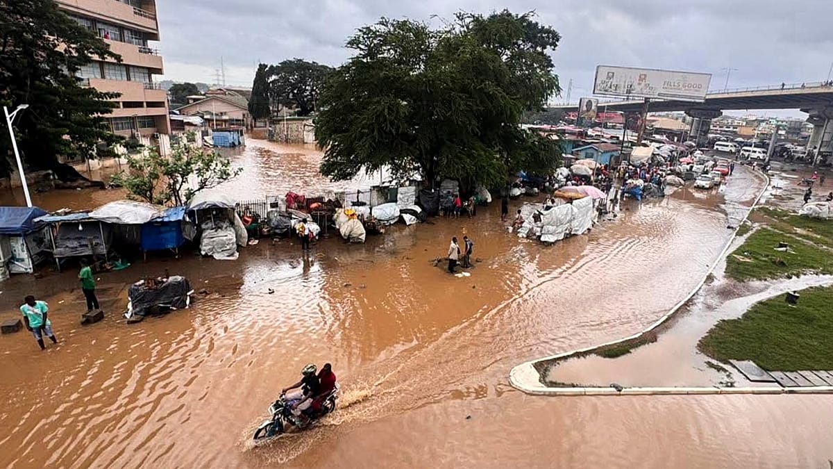 Africa leads world in disaster resilience gains, study finds