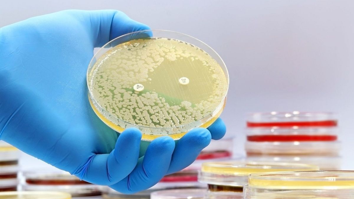 AI Breakthrough Uncovers First New Antibiotics in Decades to Combat MRSA