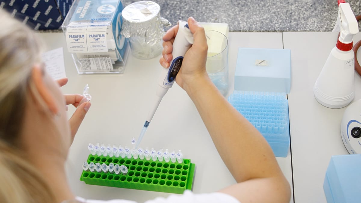 AI-Designed Viruses Show Promise Against Drug-Resistant Bacteria