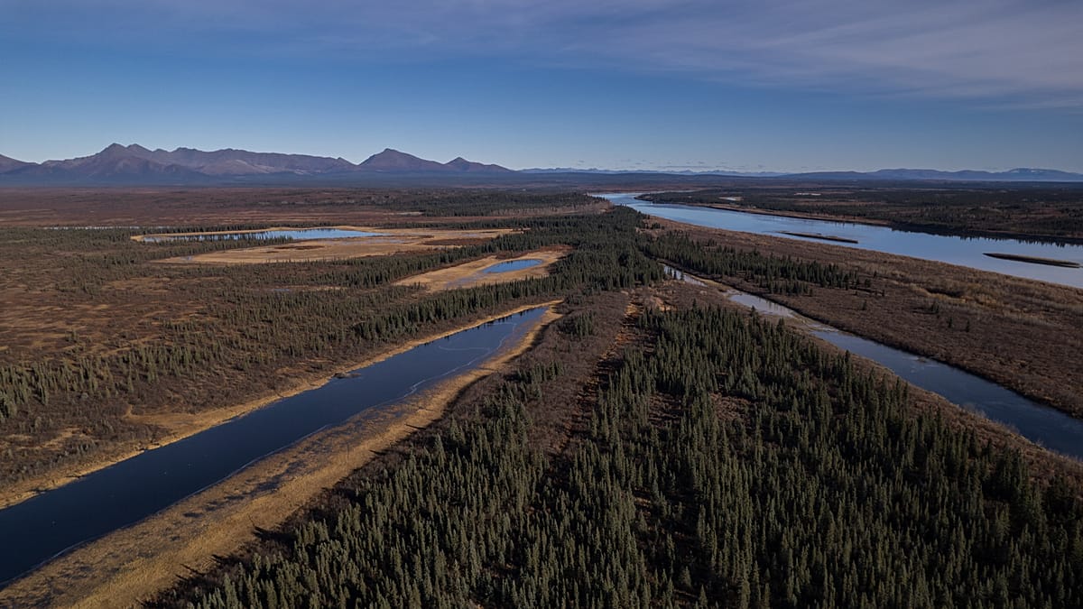 Alaska's tundra turns greener as Arctic warming accelerates