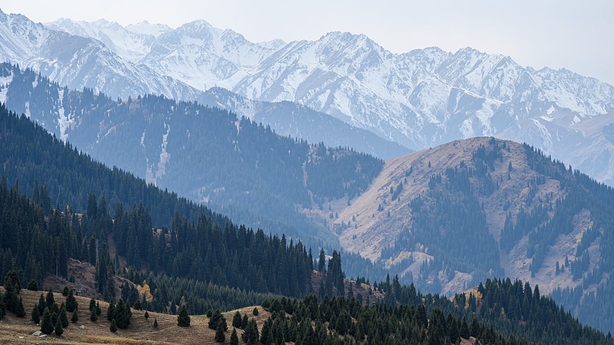 Almaty's mountain mornings, street art, and market flavours