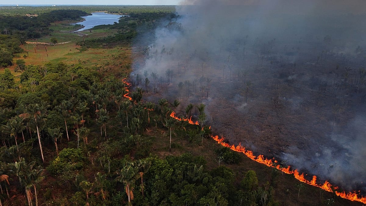 Amazon deforestation hits record low, but El Niño and election threaten gains