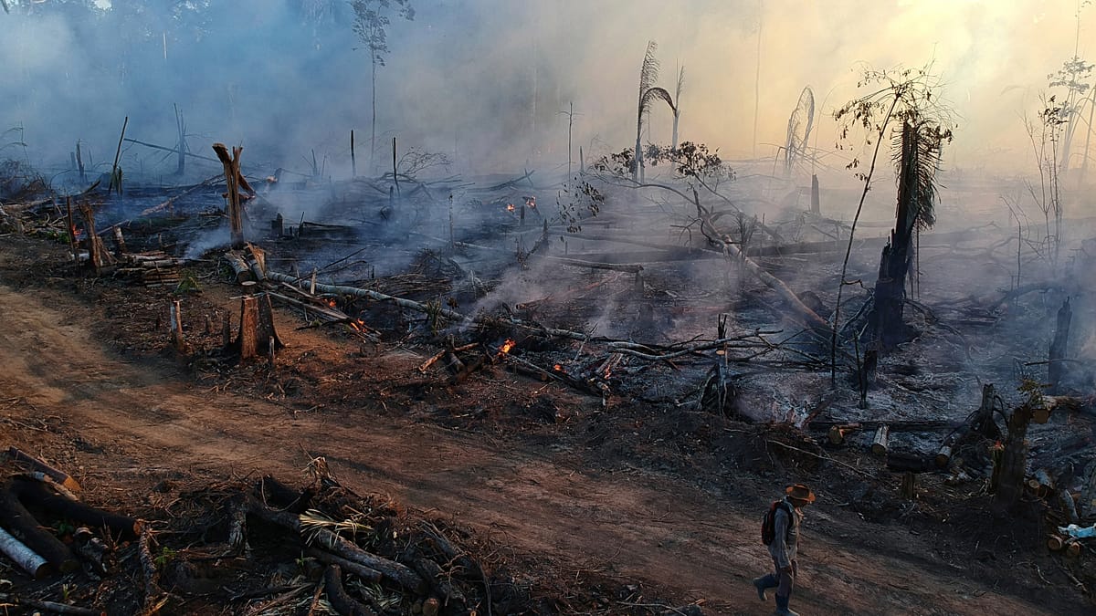 Amazon Fires Hit Historic Low in 2025, but Super El Niño Threatens Recovery