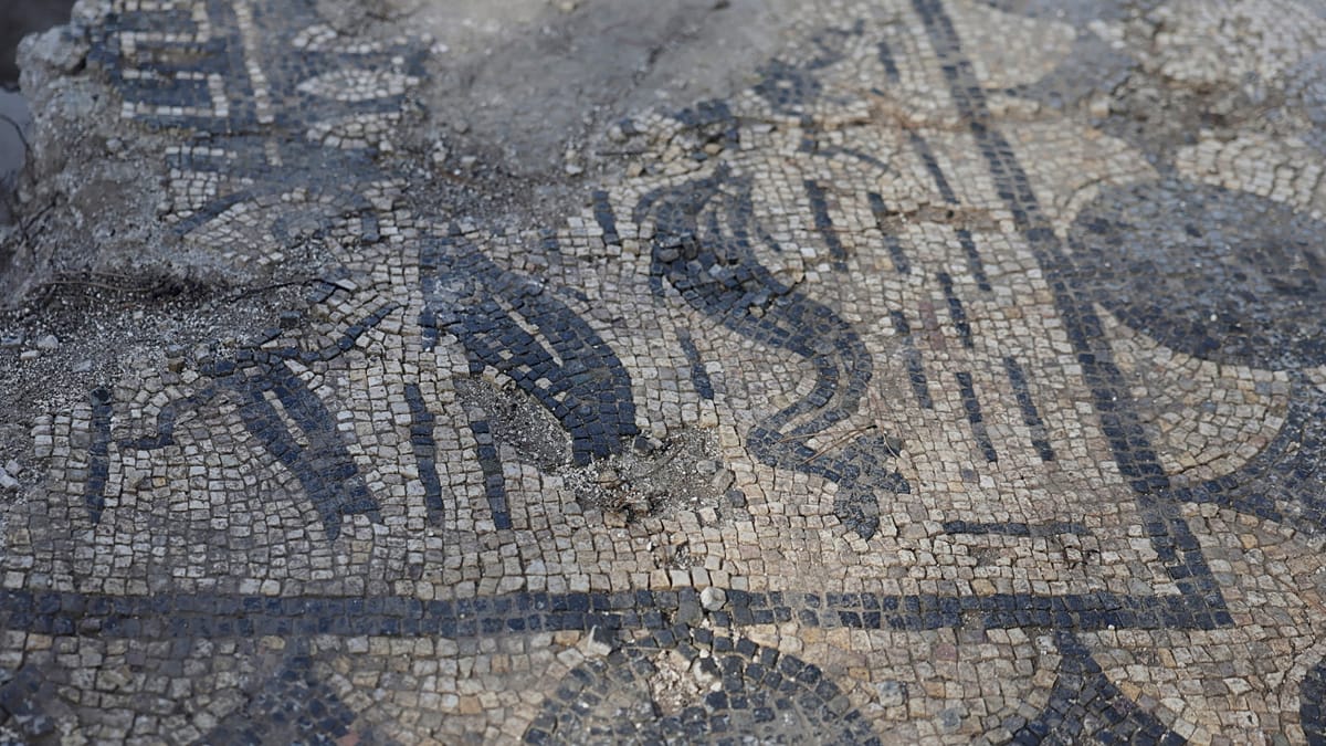 Ancient Roman domus with mosaics found under Rome's Caelian Hill