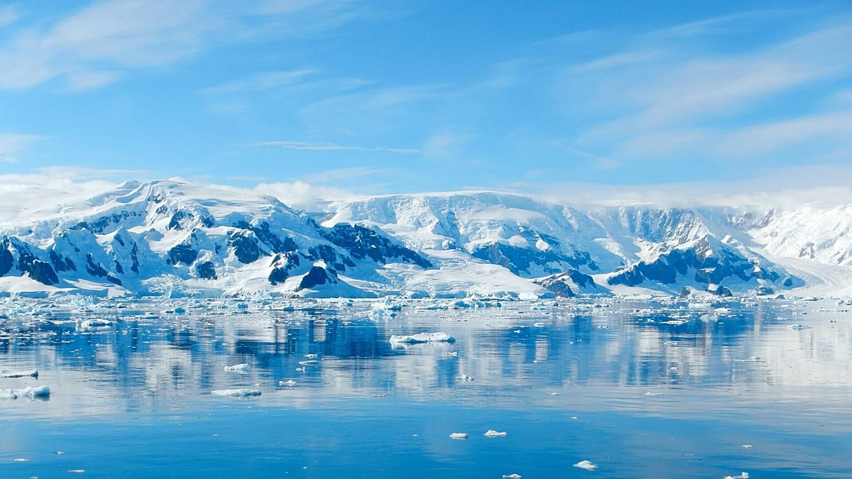 Antarctic Sea Ice Collapse Driven by Ocean Heat, Winds, and Feedback Loop