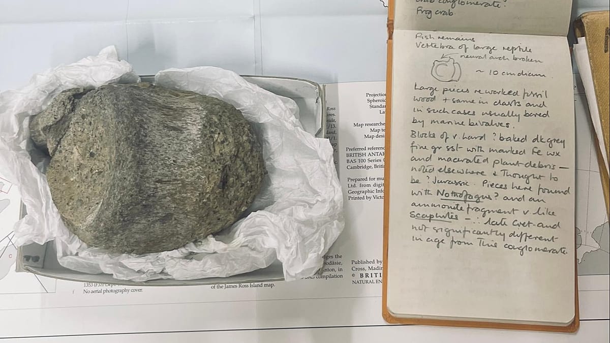 Antarctic Titanosaur Vertebra Confirmed as First Dinosaur Fossil from the Continent