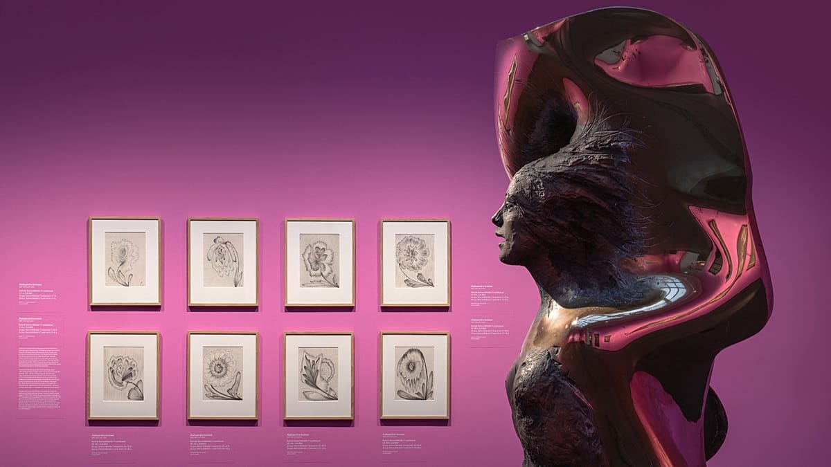 Arcana Borealis: Nordic women's esoteric art at Ateneum