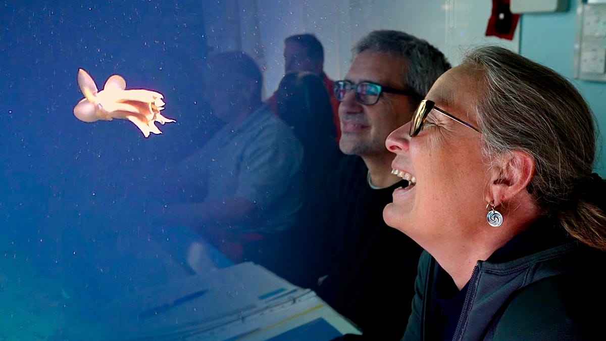 Arctic Seabed Expedition Reveals Fragile Ecosystems at Risk from Norway's Mining Plans