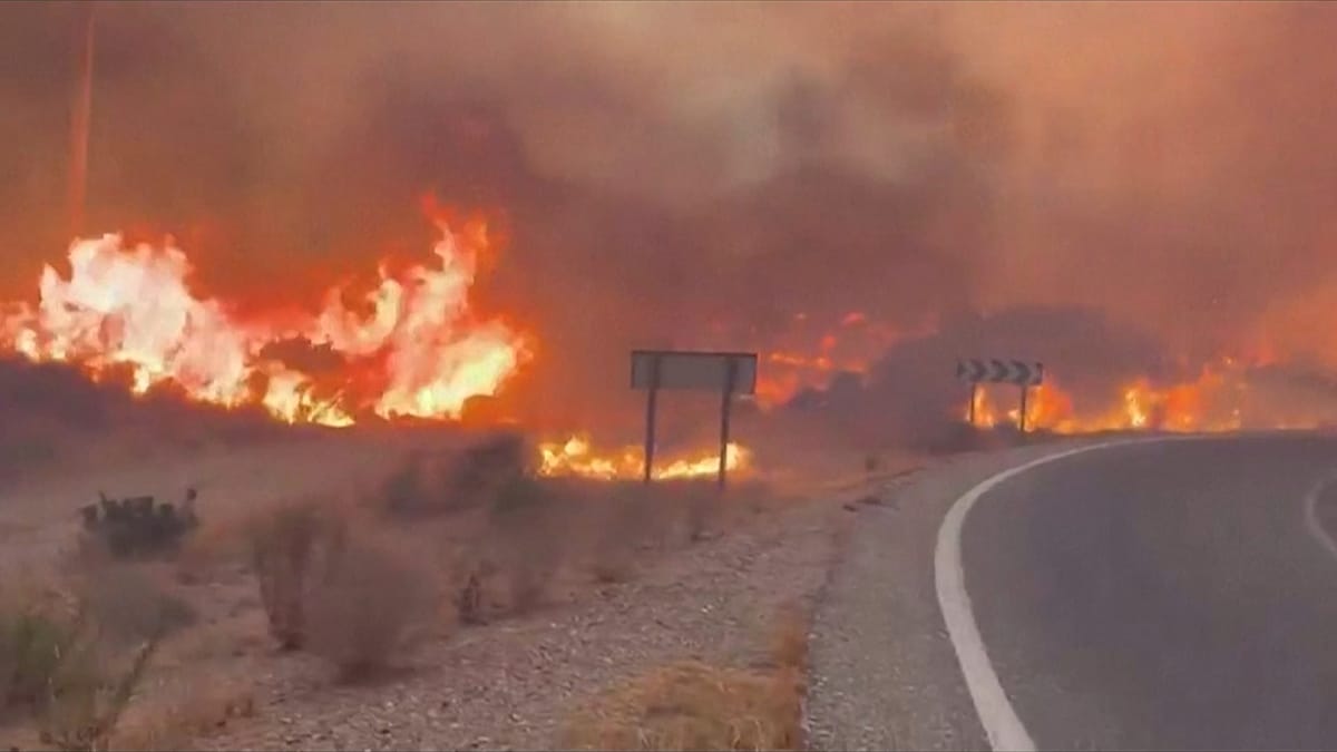 At Least 12 Dead as Wildfire Ravages Southern Spain's Almería Province