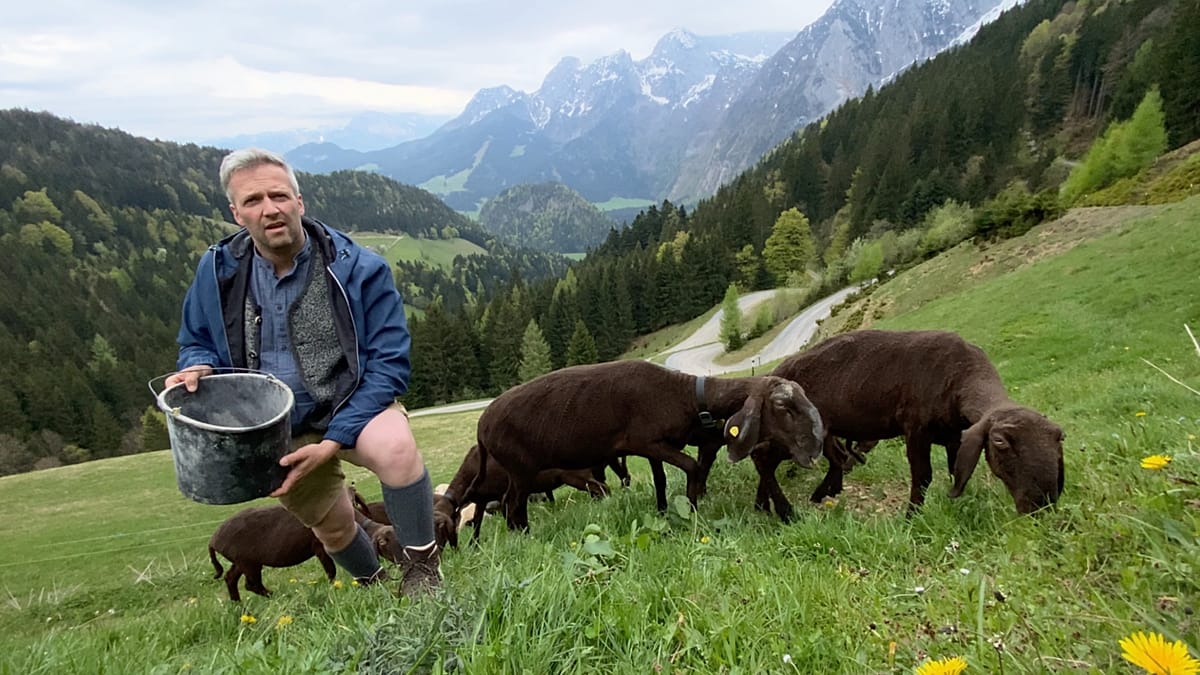 Austria's Farming Renaissance: Quality, Training, and Local Markets