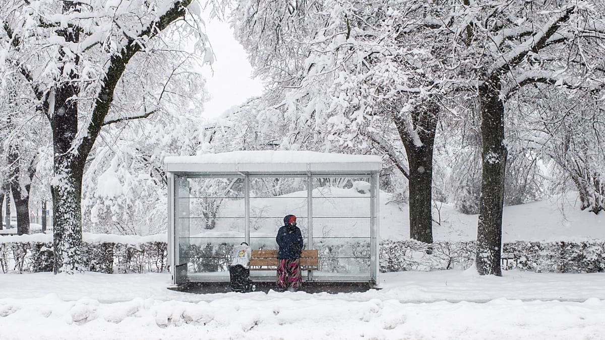 Baden's 'Line Zero' Bus: A Slow Travel Art Project on Wheels