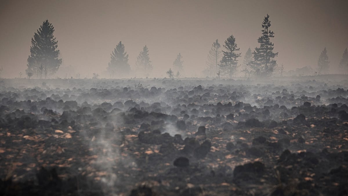 Belgian crews race to encircle High Fens wildfire as winds shift