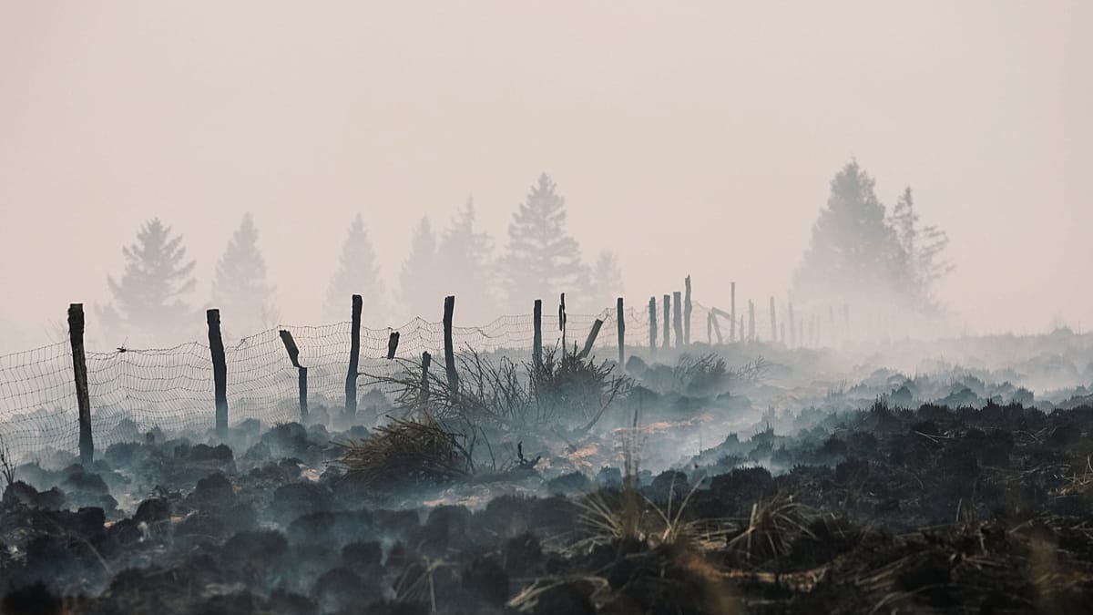 Belgian High Fens wildfire encircled but flare-ups persist, officials say