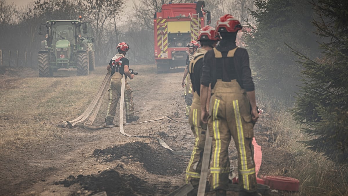 Belgium battles fast-moving wildfire near German border