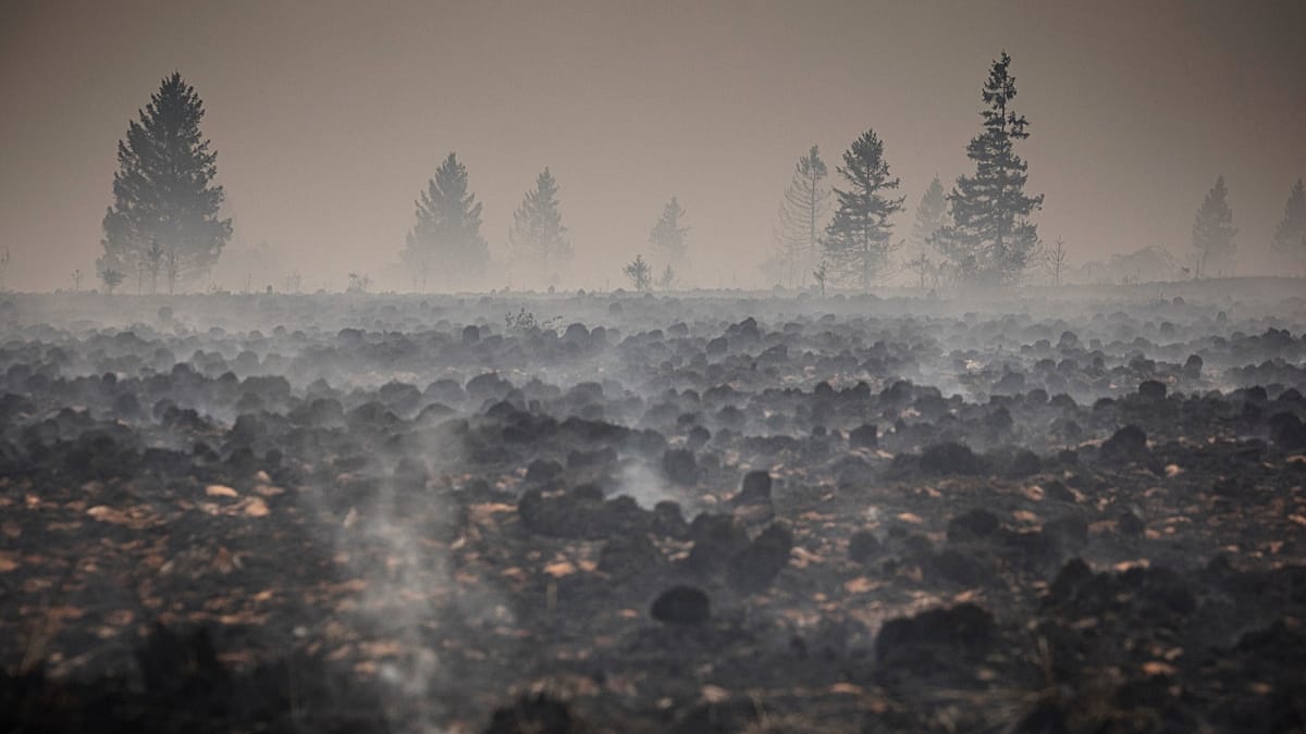Belgium's largest wildfire in a century contained in High Fens
