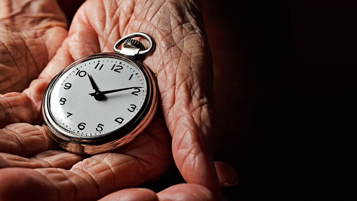 Biological age tests reveal distinct molecular aging pathways