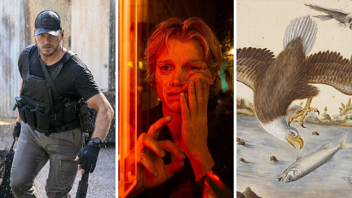 Body horror and 'Becoming America': Europe's cultural picks this week