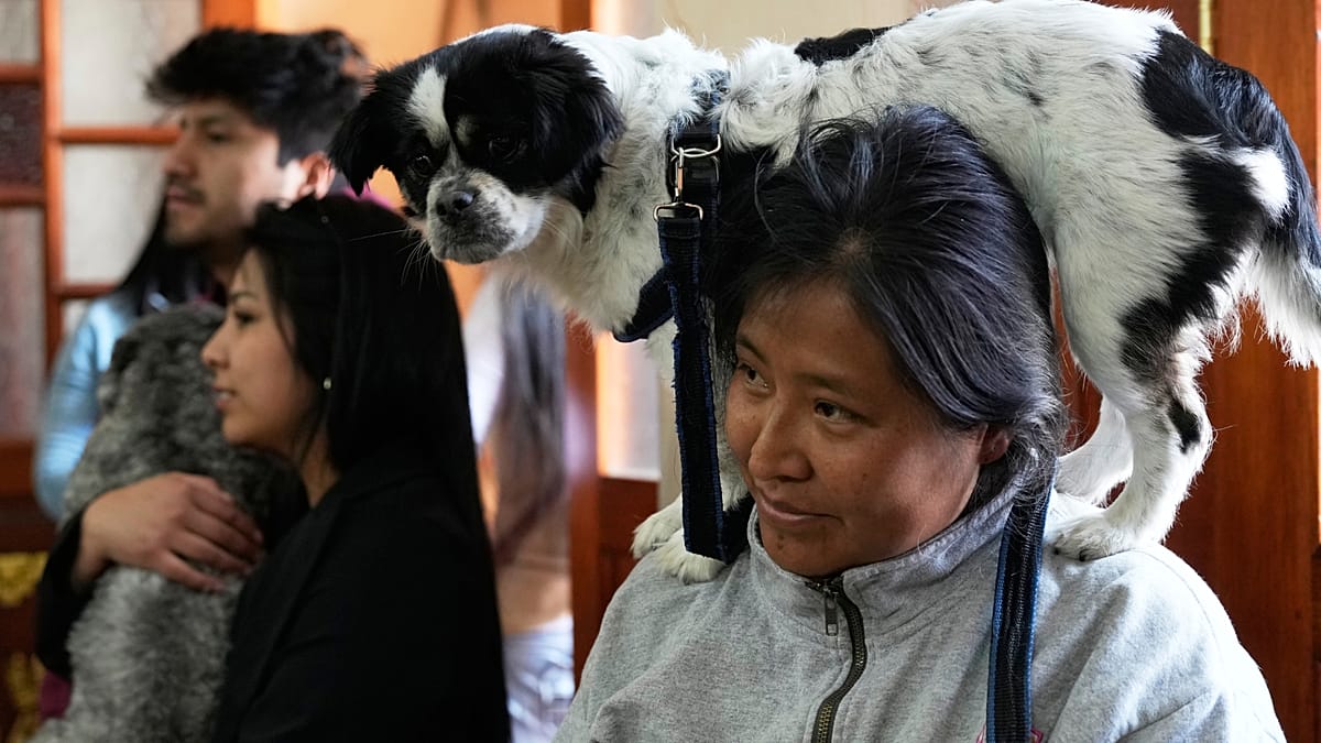 Bolivian pet owners honour Saint Roch with holy water blessings
