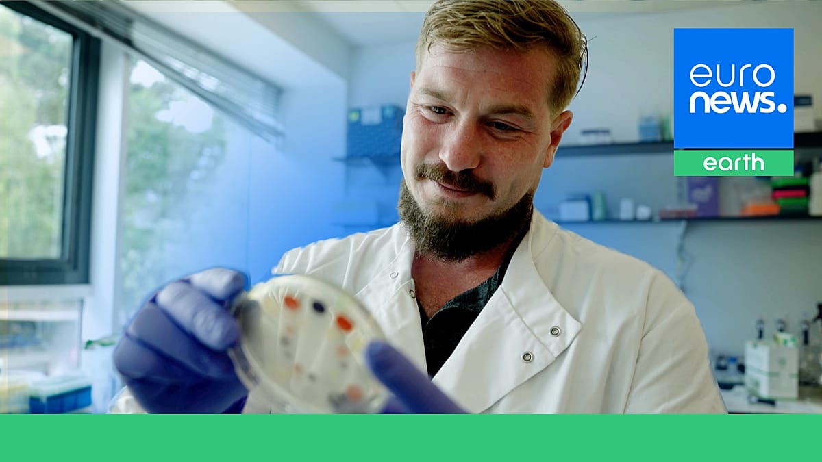 Brewing fashion's future: How bacteria could replace toxic textile dyes