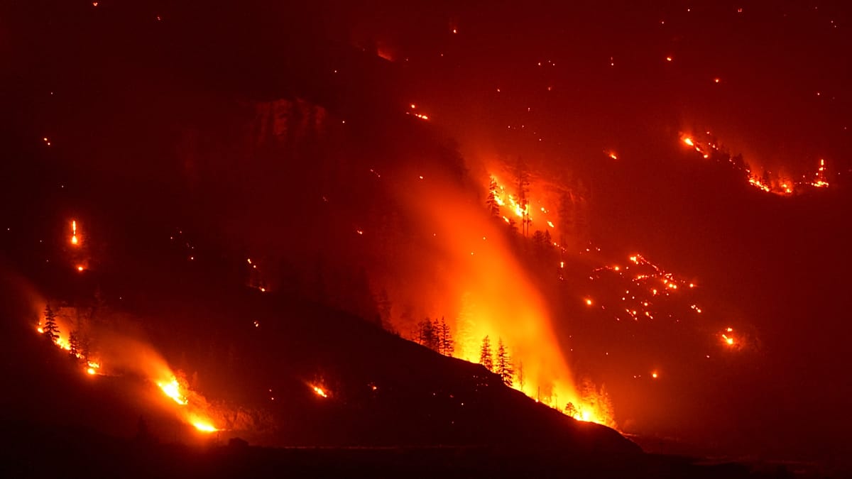 British Columbia declares emergency as wildfires force 20,000 to flee