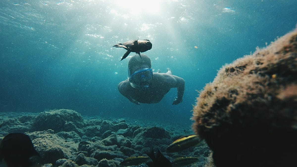 Canary Islands Launch Voluntary Tourist Tax to Fund Local Sustainability Projects