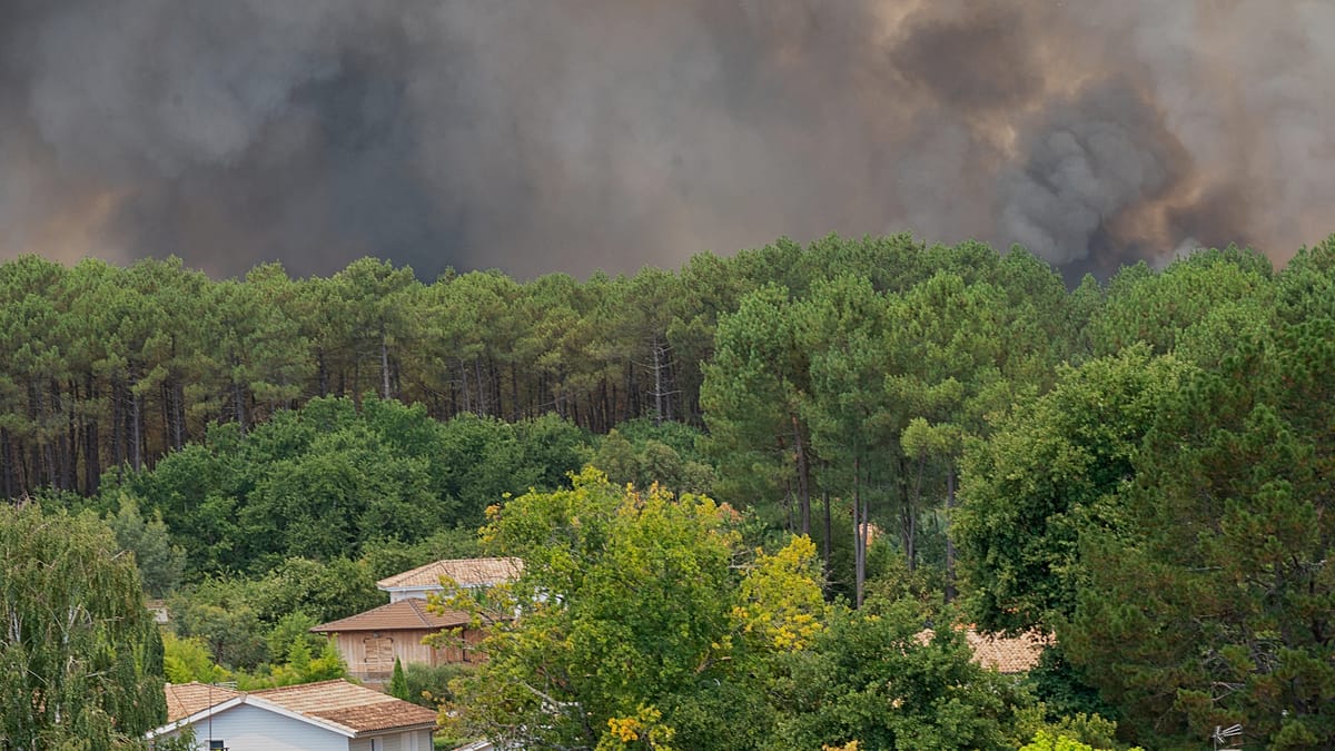 Cap Ferret Wildfire Forces Mass Evacuation as 700 Firefighters Battle Blaze