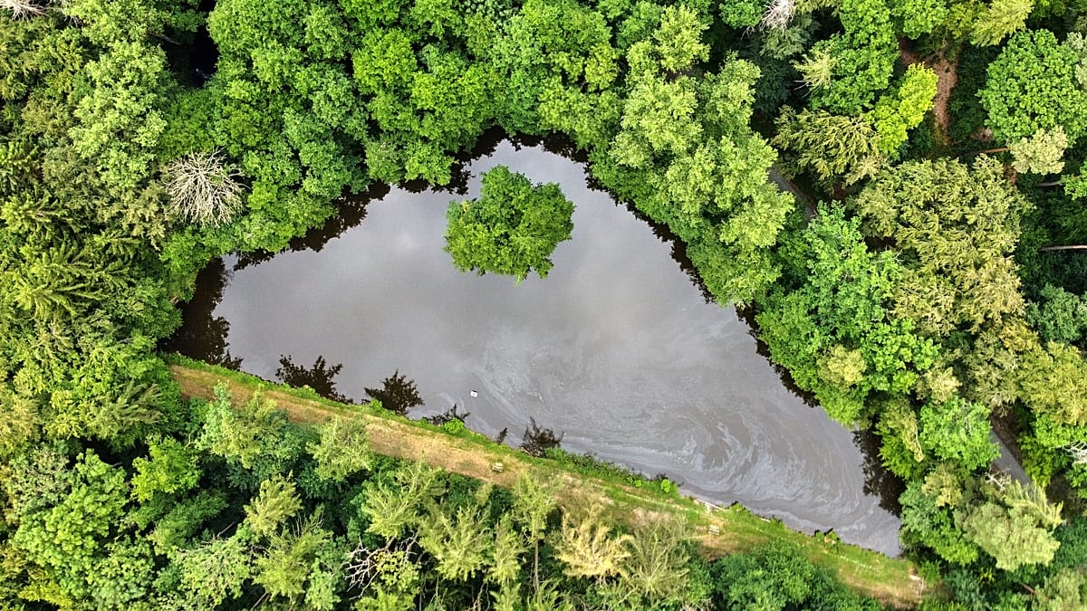 Climate Disinformation Shifts from Denial to Attacking Green Policies