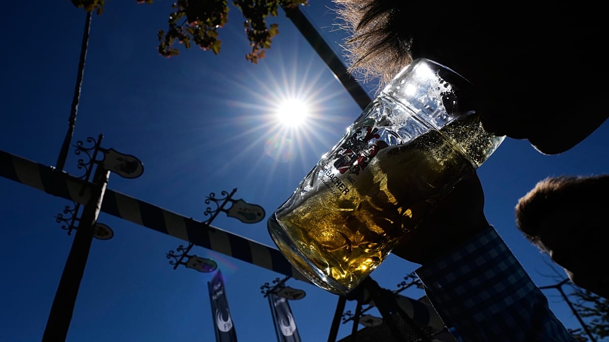 Climate stress on hops and barley raises questions for Europe's beer supply