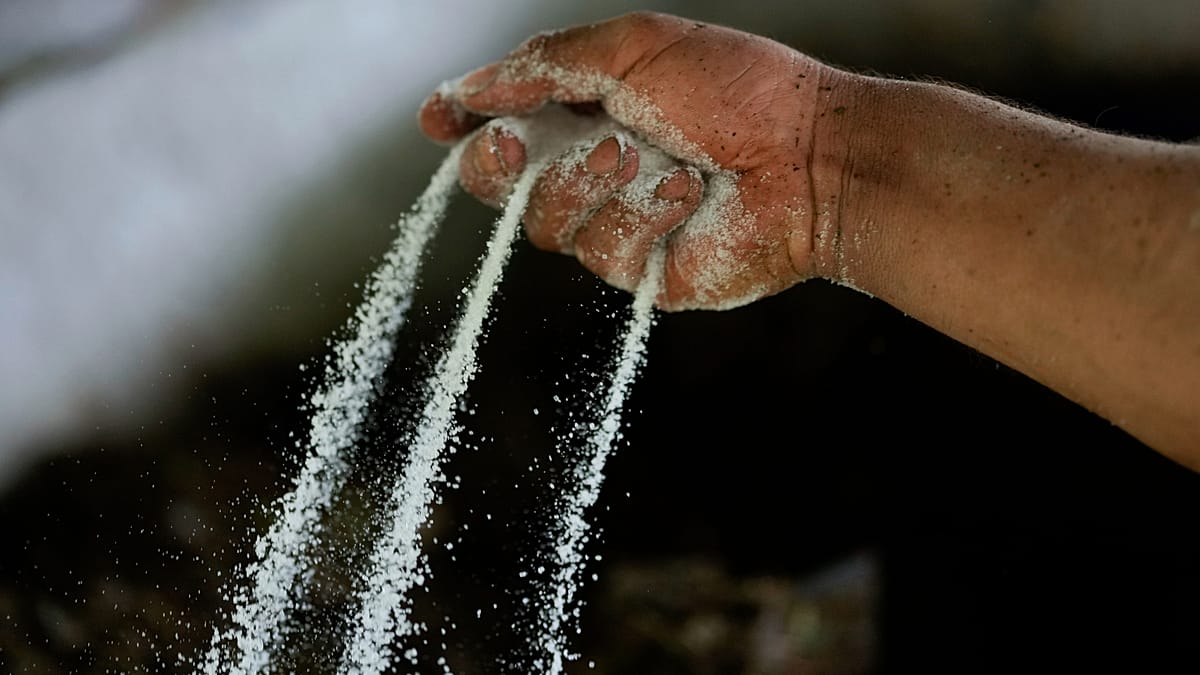 Colombia seizes 76 tonnes of cocaine destined for the Netherlands