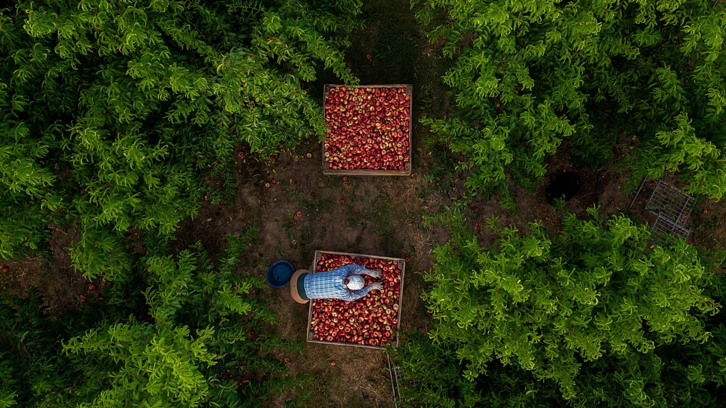 Construction and Agriculture Top Europe's Heat-Exposed Jobs as Climate Risks Mount