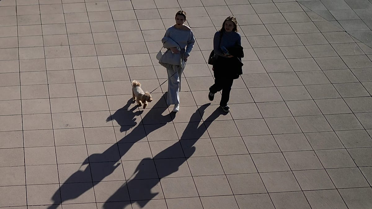 Contaminated Russian dog vaccine linked to hundreds of pet deaths