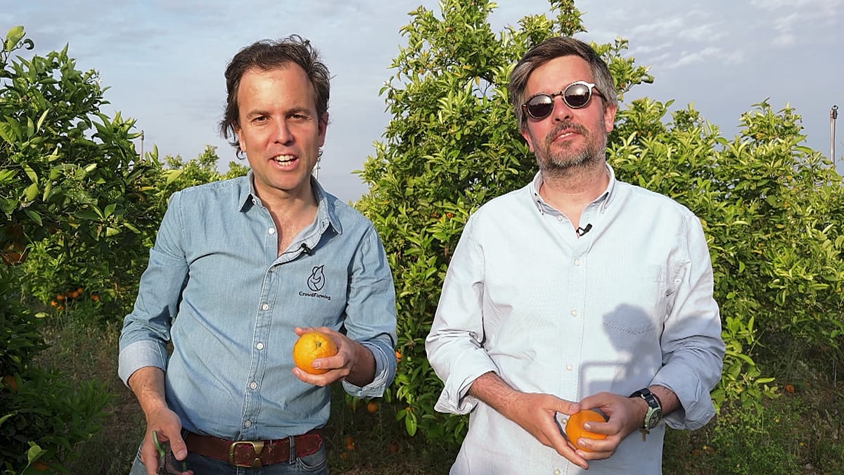 CrowdFarming: How a Spanish Platform Is Reshaping Europe's Organic Food Supply