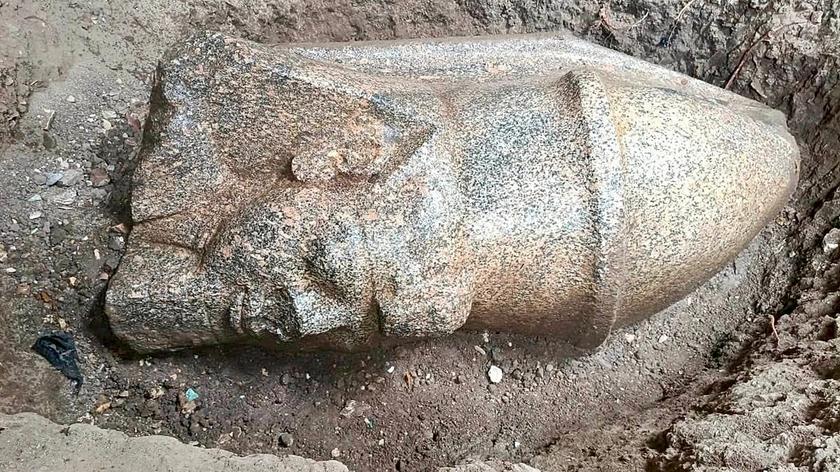 Cucumber farmer's discovery leads to Ramses II statue head in Nile Delta