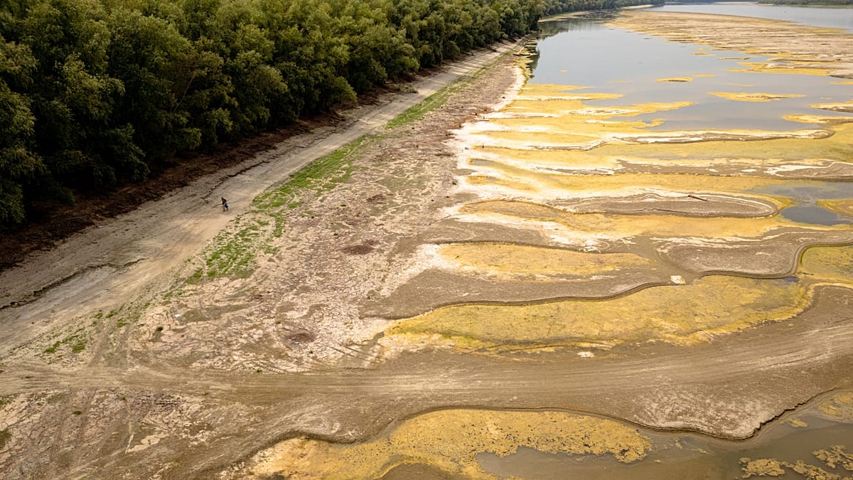 Danube's record low waters reveal fossils and WWII wrecks