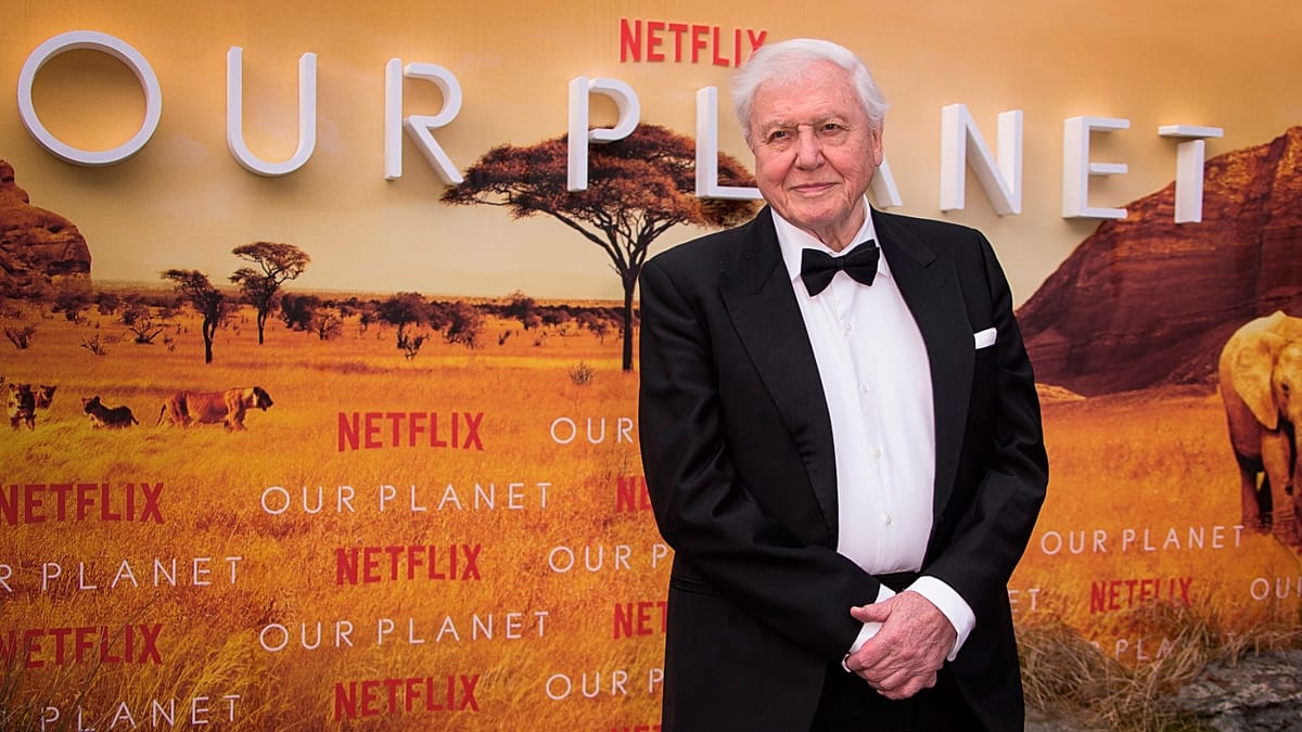 David Attenborough at 100: A Century of Planetary Change Through His Eyes
