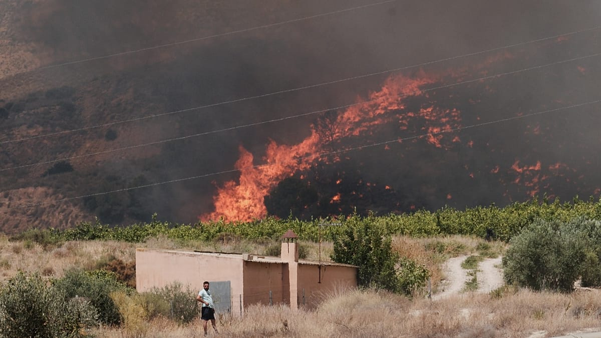 Deadly Wildfire in Andalusia Claims 12 Lives, Mostly Foreign Nationals