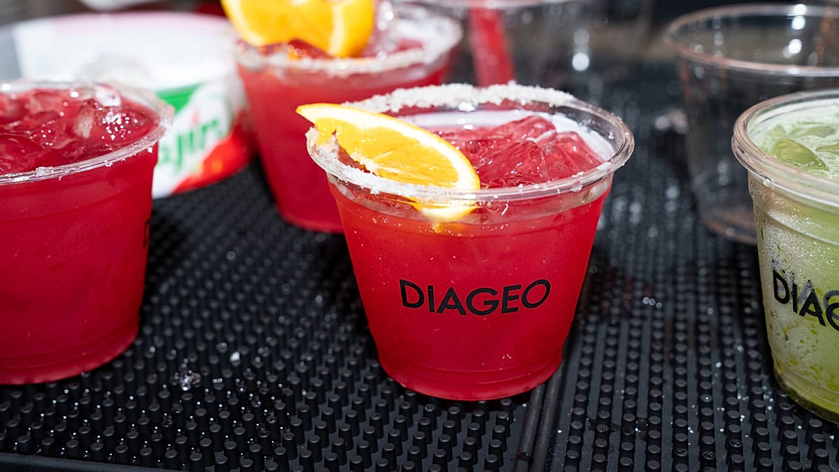 Diageo cuts $1bn in costs as new CEO resets growth outlook