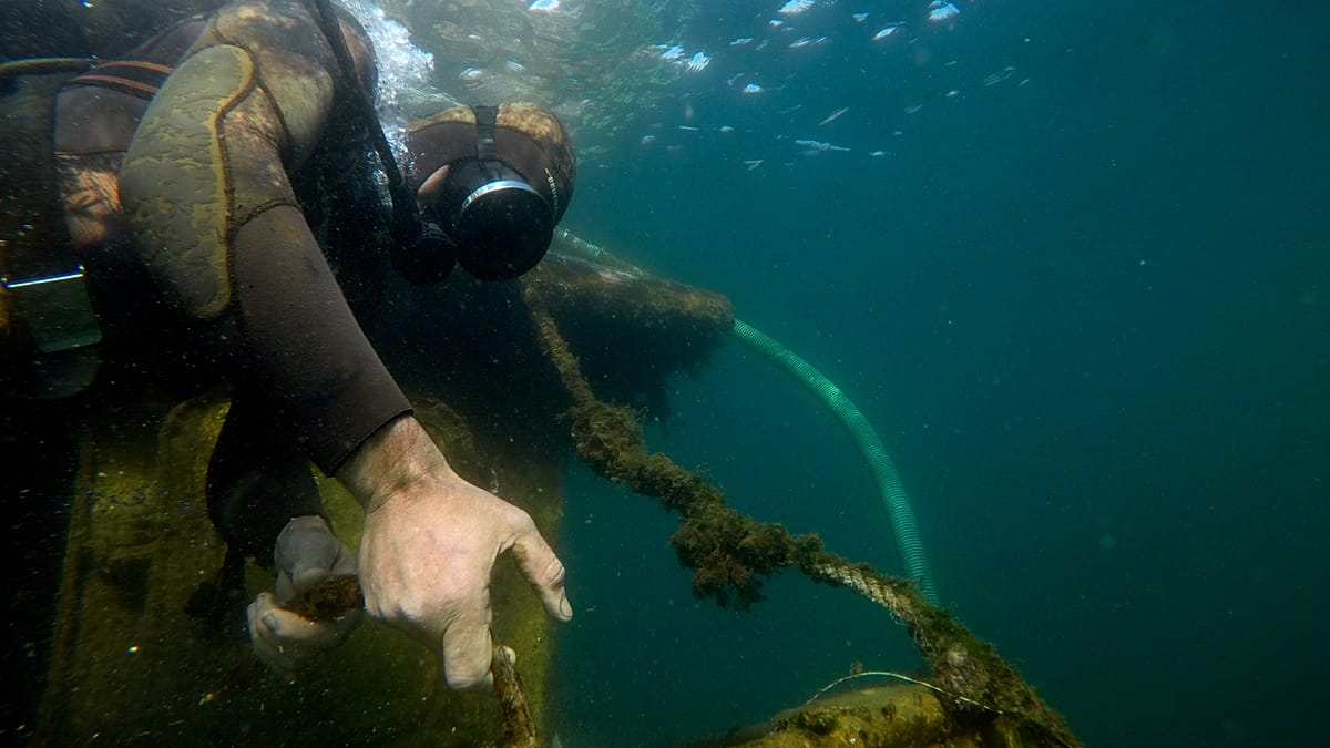 Divers explore 15th-century warship wreck in Stockholm archipelago