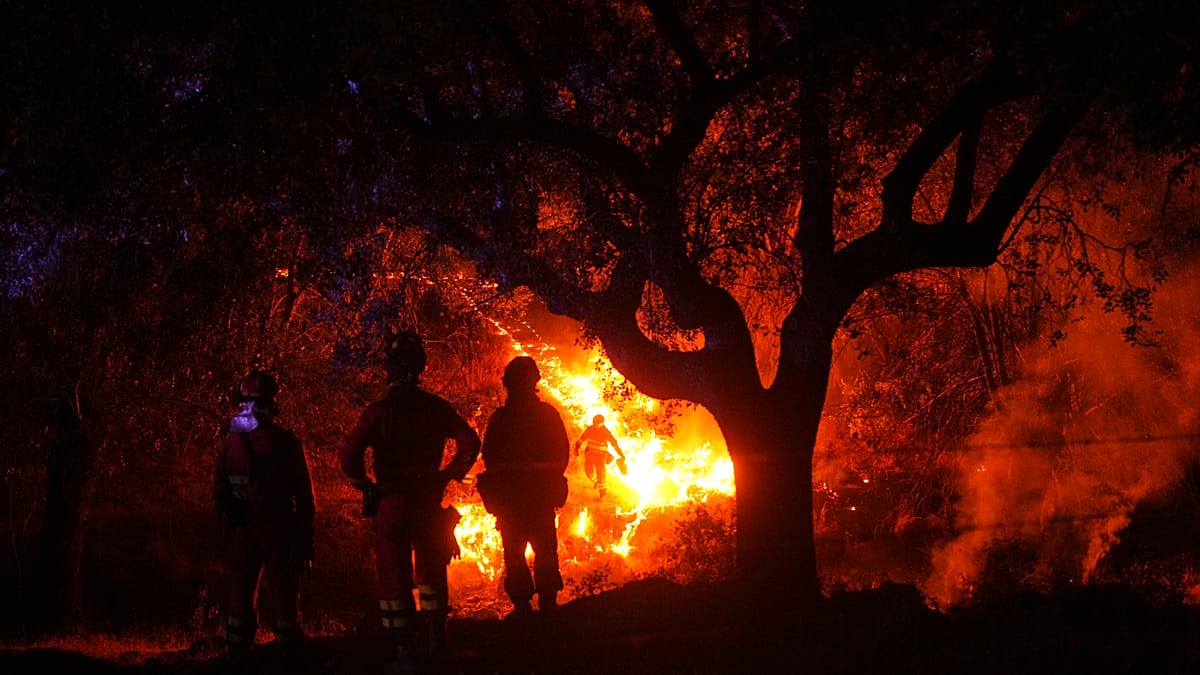 Drone footage reveals scale of Castellon wildfire in eastern Spain