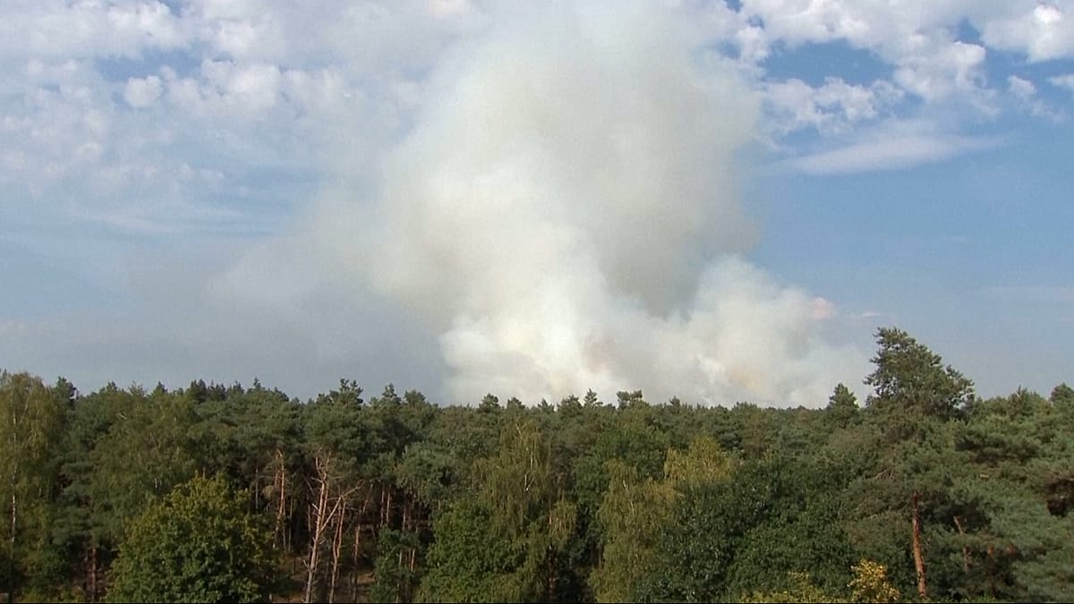 Dutch forest fire near German border spreads to 100 hectares