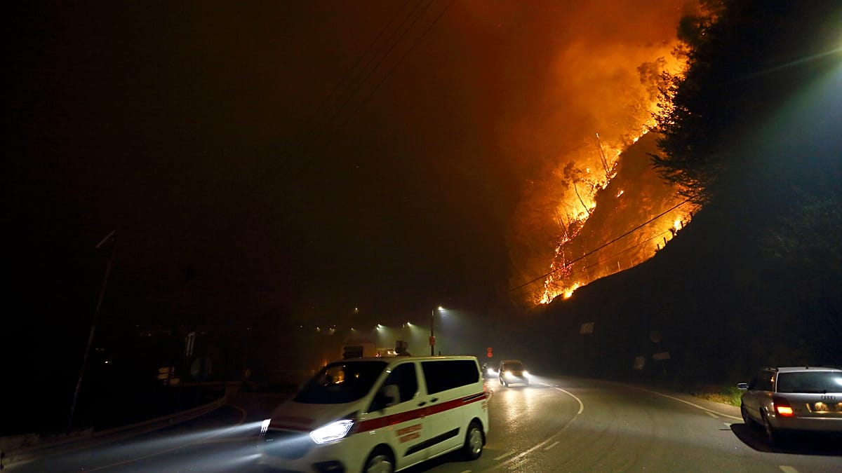 El Niño Raises Wildfire Risk in Portugal This Summer, Climatologist Warns