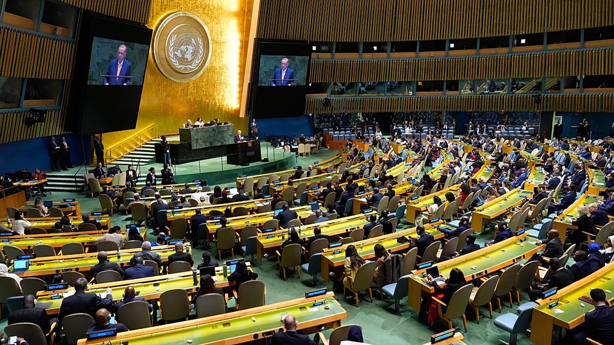 Erdoğan calls for UN Security Council veto abolition in reform push