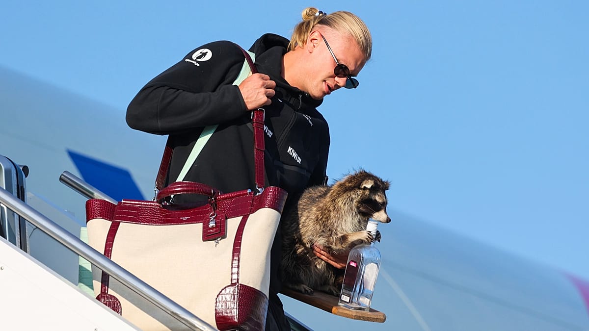Erling Haaland Brings Taxidermy Raccoon Back to Norway After World Cup Exit