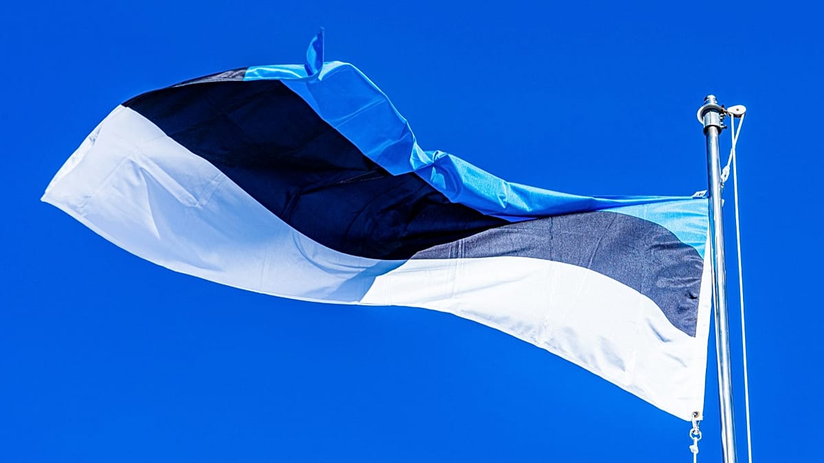 Estonia's AI Leap Programme: A Pragmatic Model for Teaching Critical Thinking in Schools