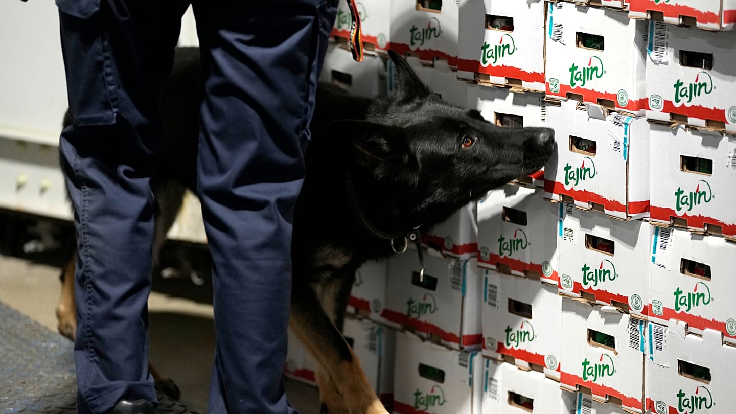 EU Agency Warns of Rising Health Risks from Complex Drug Market
