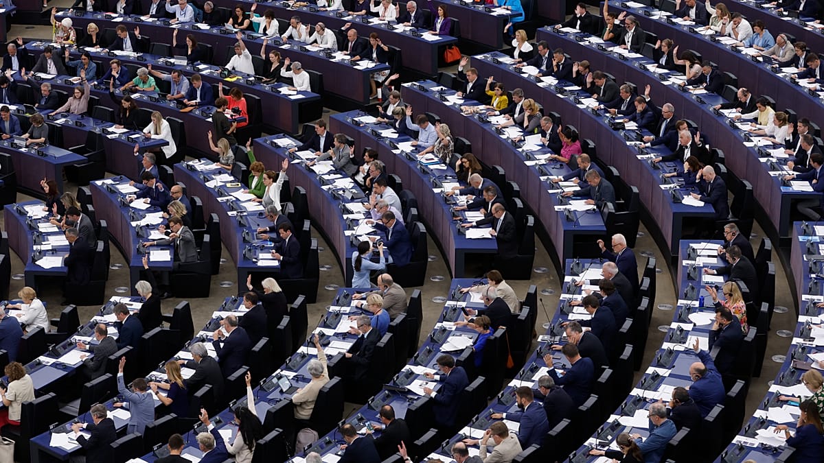 EU AI Act's global reach: half of citing firms are non-EU