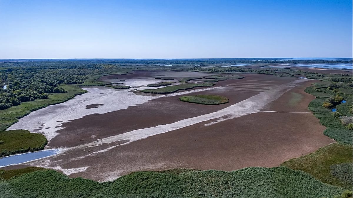 EU capitals face September deadline to fund nature restoration plans